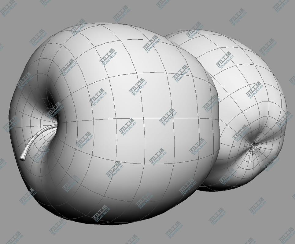 images/goods_img/20210115/Trachea Didactic 3D model/4.jpg